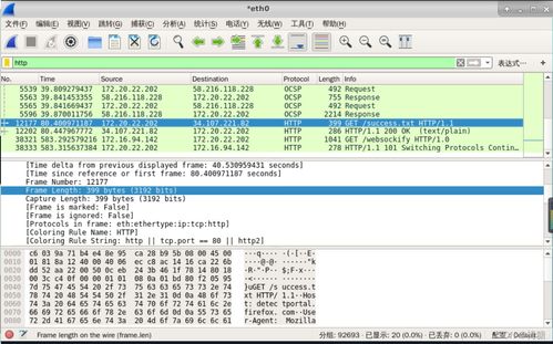 网络嗅探技术与网络安全软件开发——信息安全实验探究