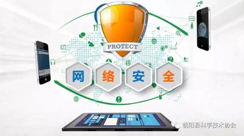 筑牢数字防线 网络安全防范措施与软件开发新趋势